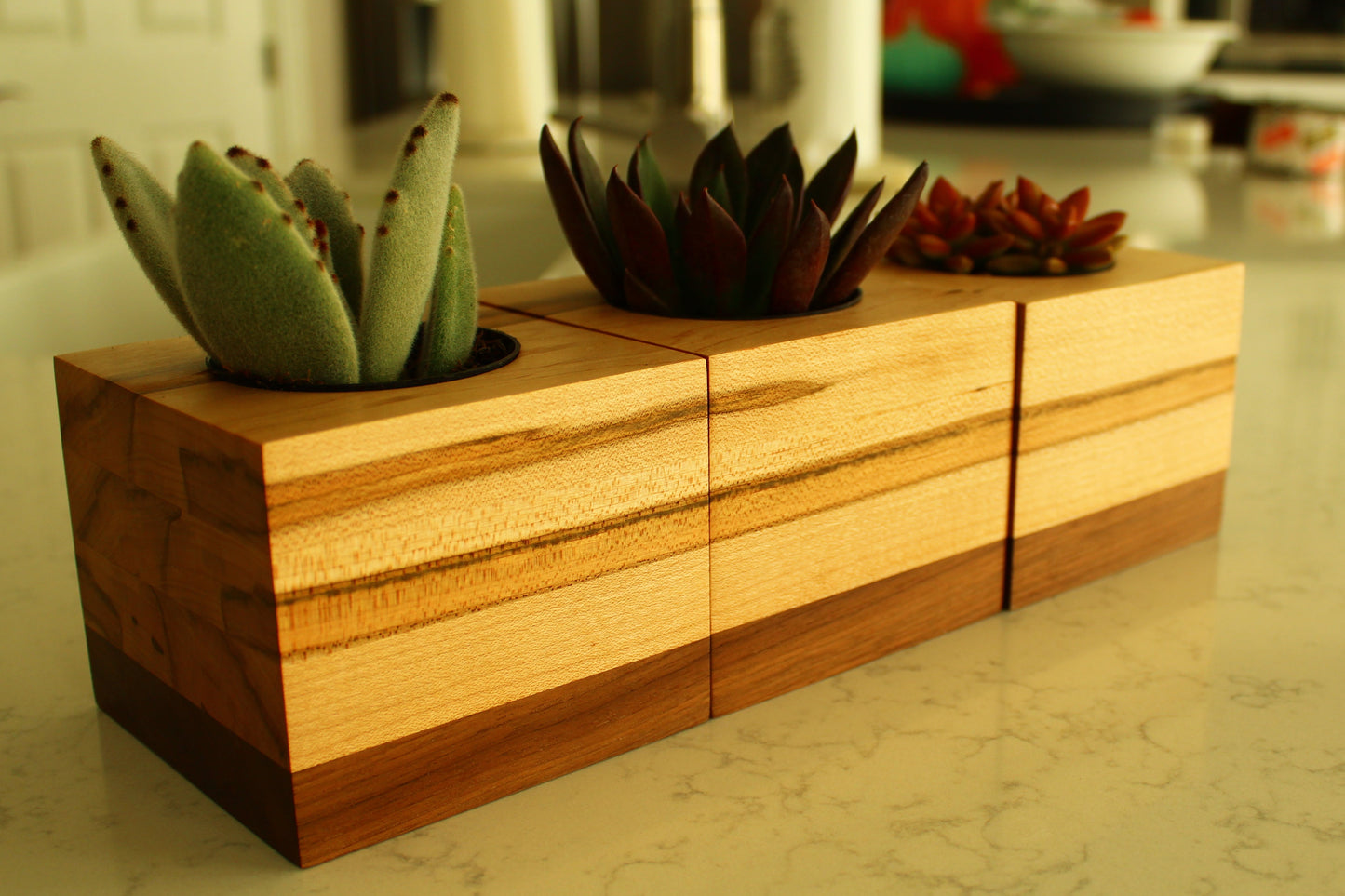 Wooden planter with succulents on a kitchen counter