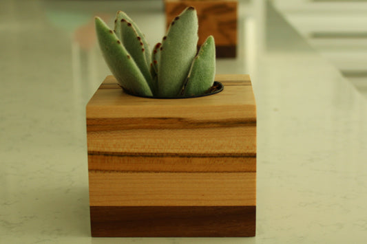 Handcrafted Succulent Planter – Ambrosia Maple & Walnut