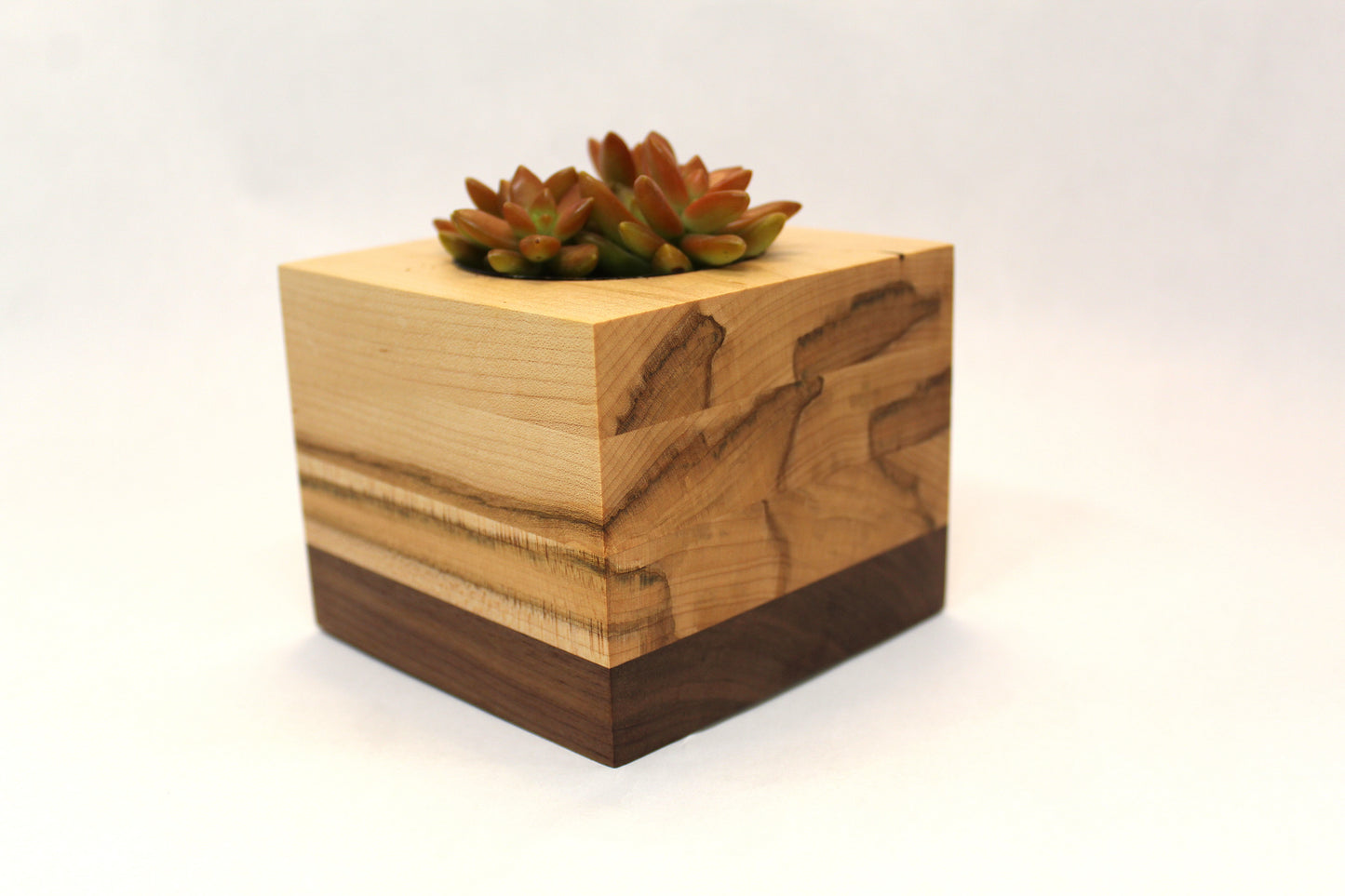 Handcrafted Succulent Planter – Ambrosia Maple & Walnut