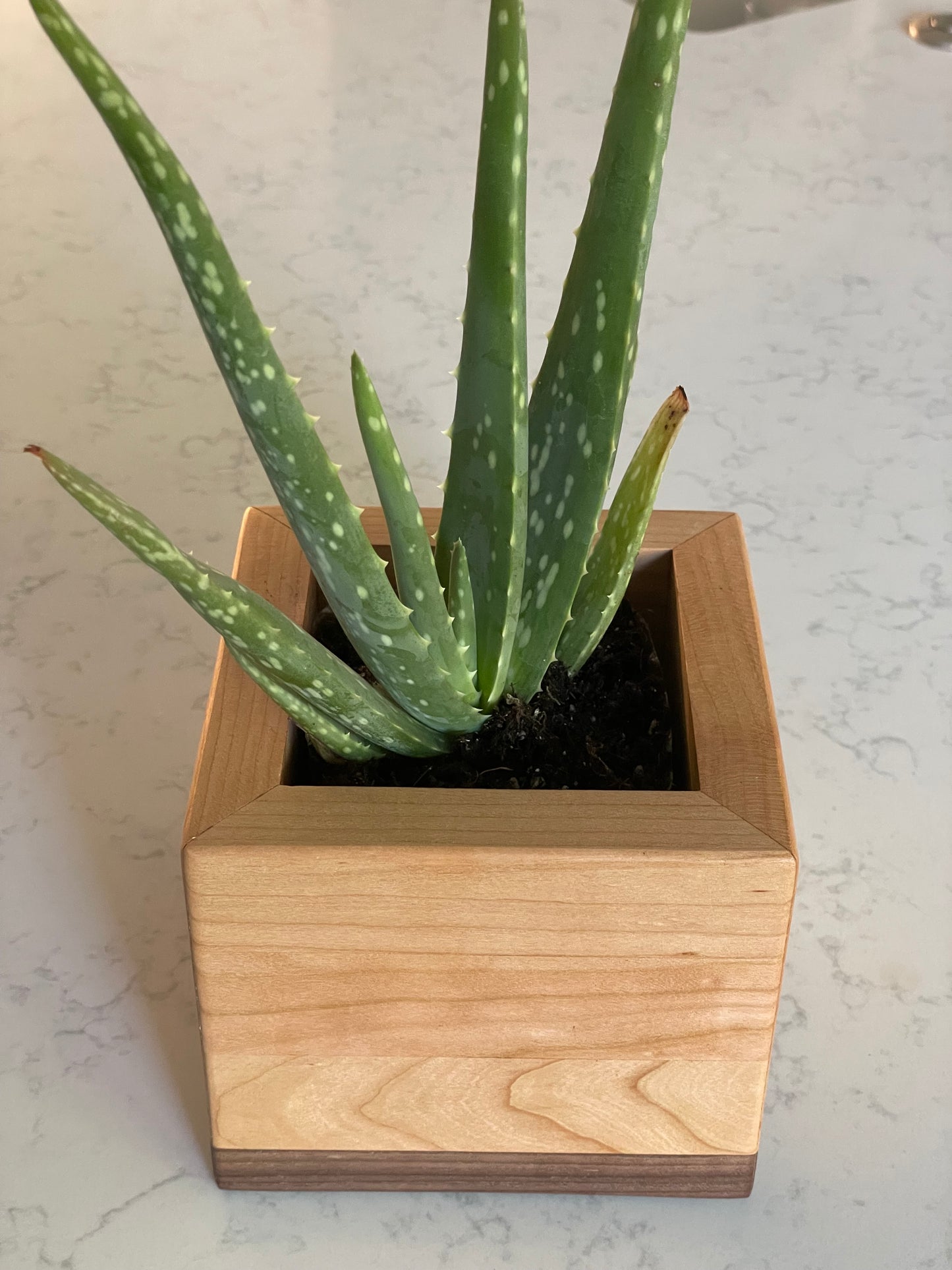 Hardwood Planter Box