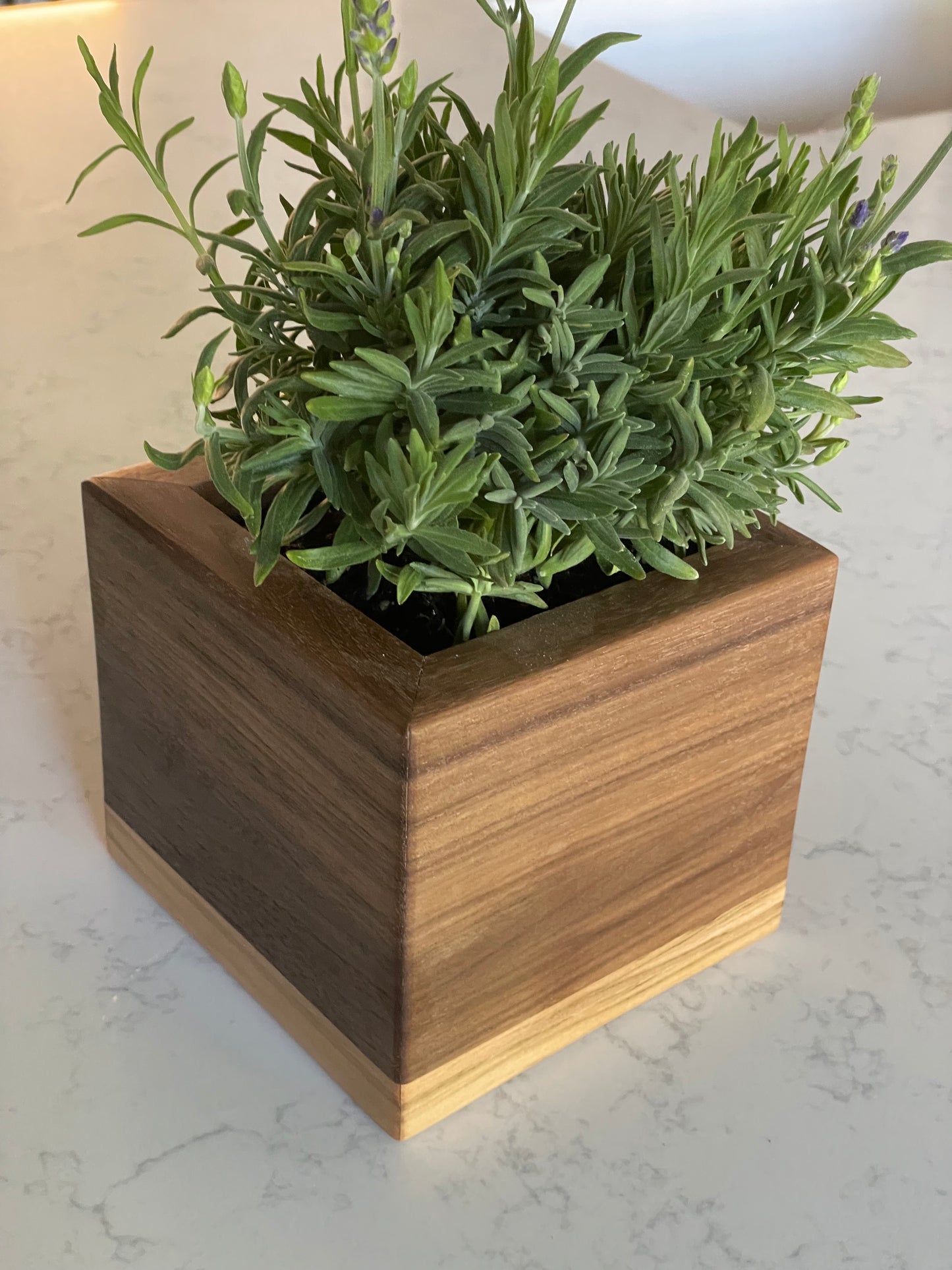Hardwood Planter Box