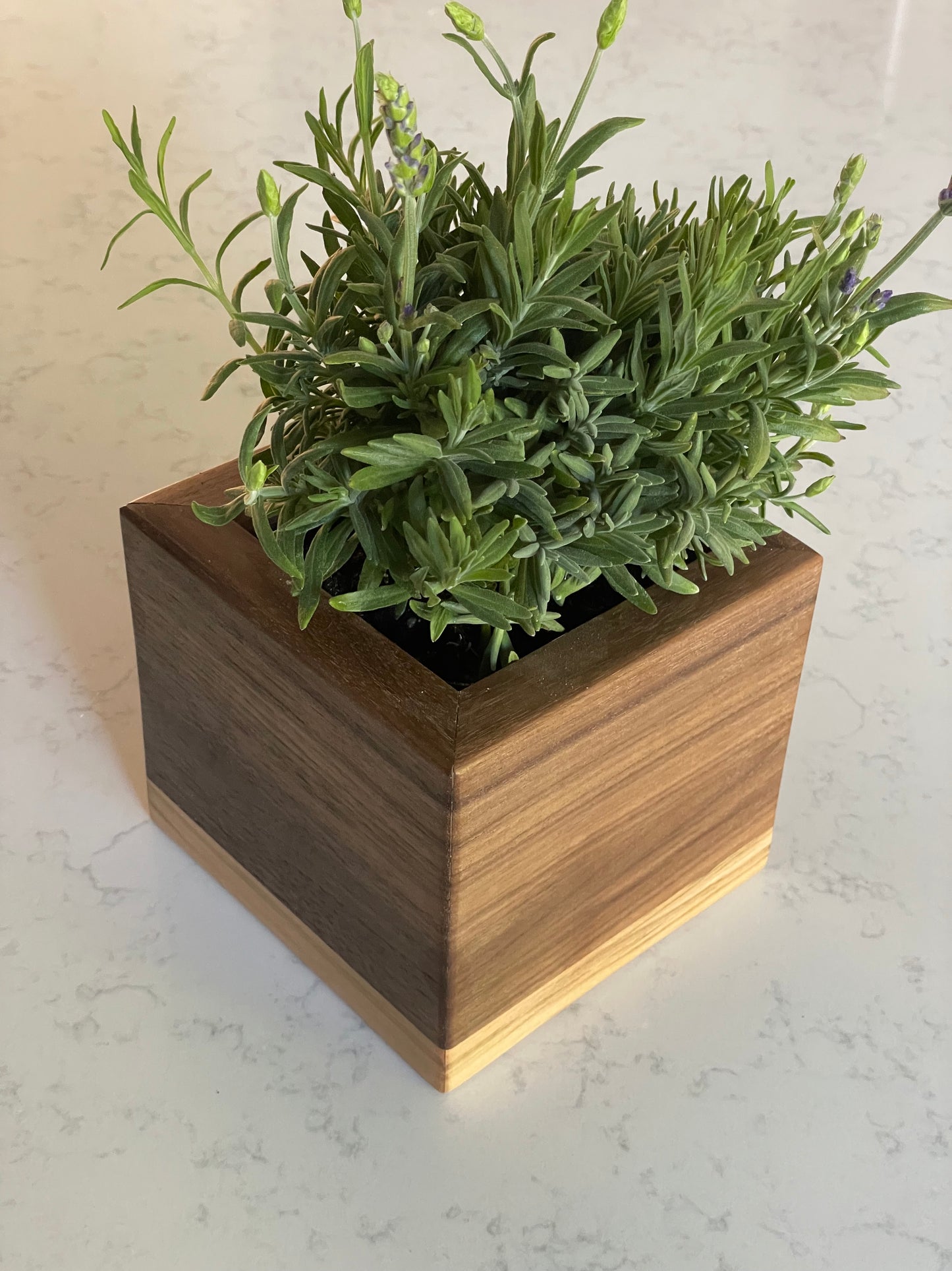 Hardwood Planter Box