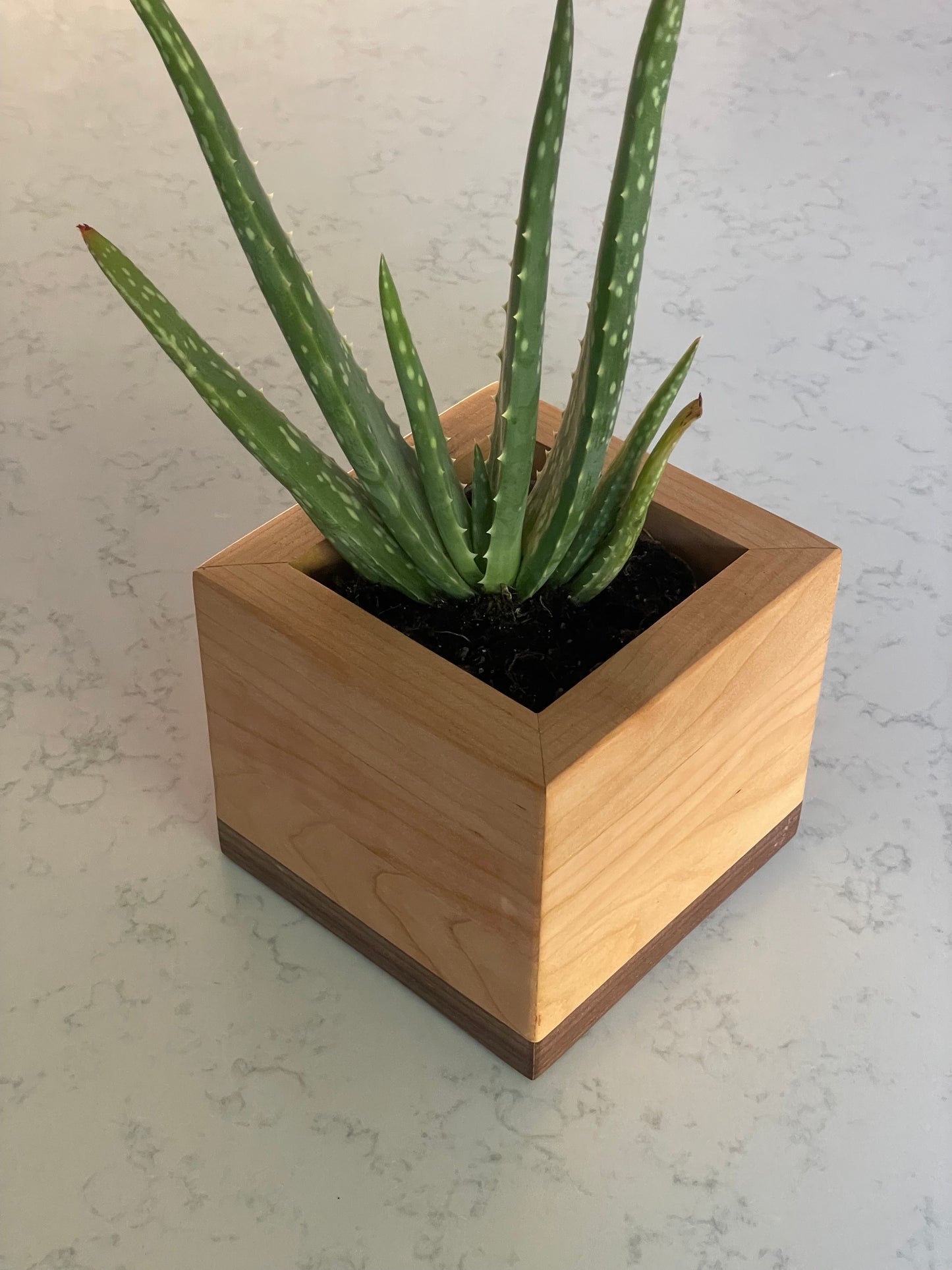 Hardwood Planter Box