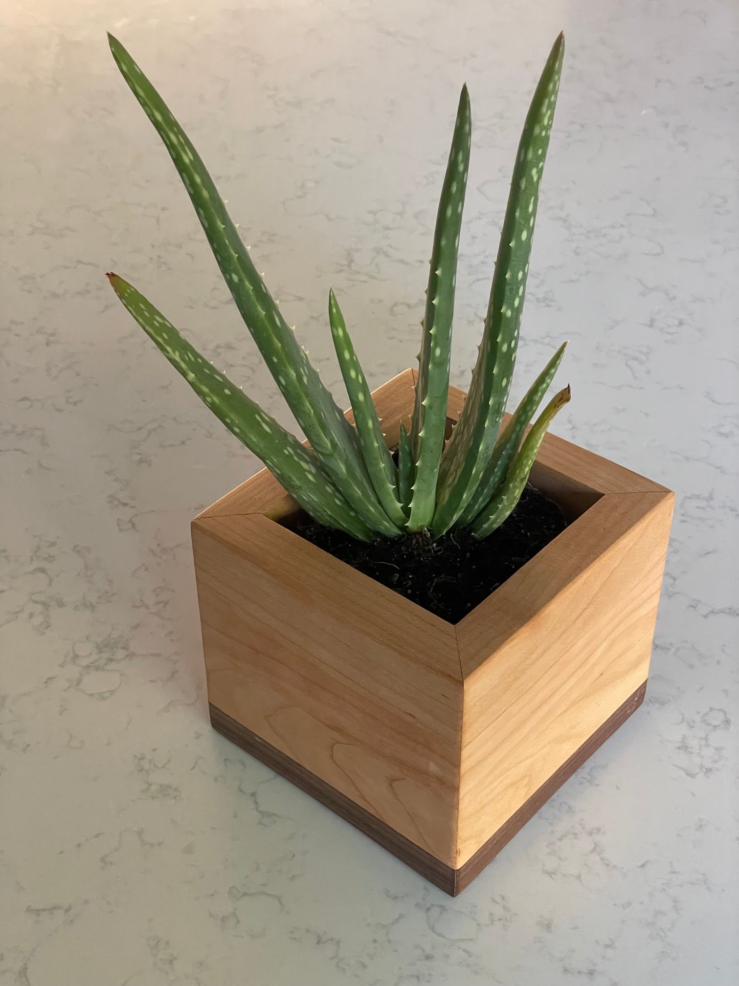 Hardwood Planter Box