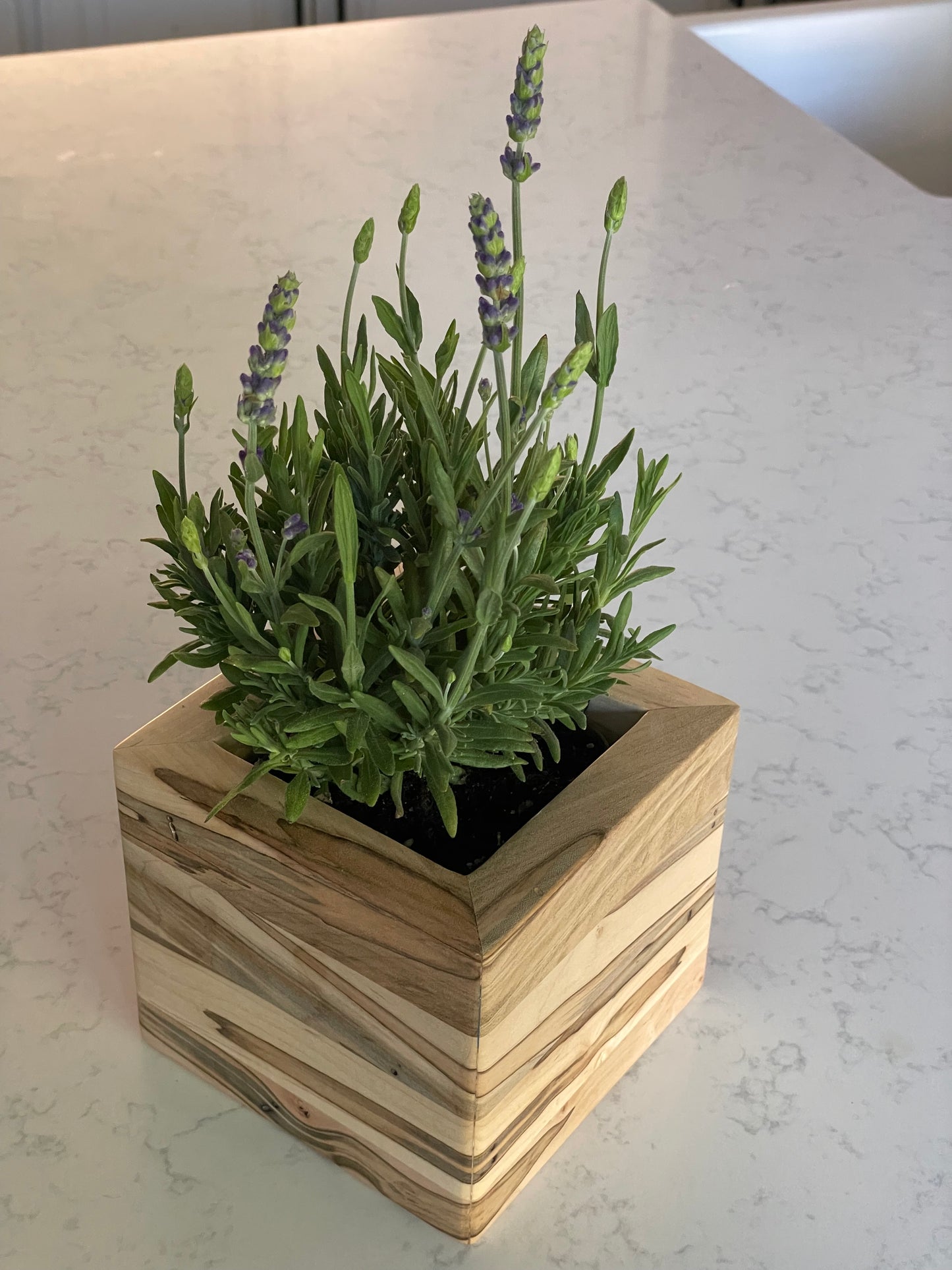 Hardwood Planter Box