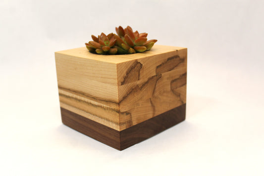 Handcrafted Succulent Planter – Ambrosia Maple & Walnut