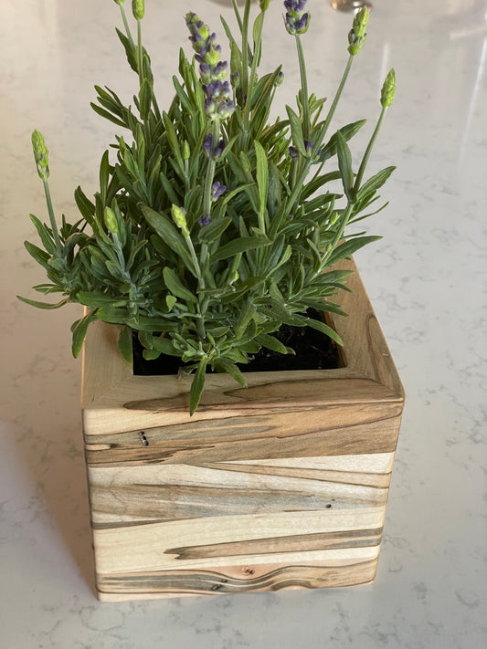 Hardwood Planter Box