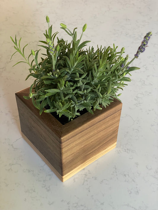 Hardwood Planter Box